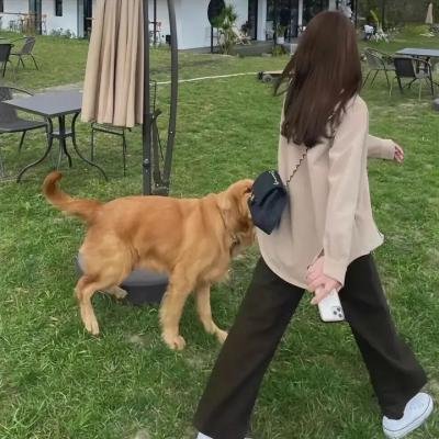 我必须离开