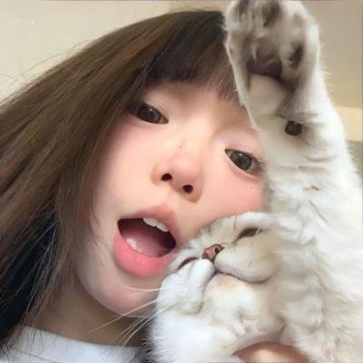 完美房子